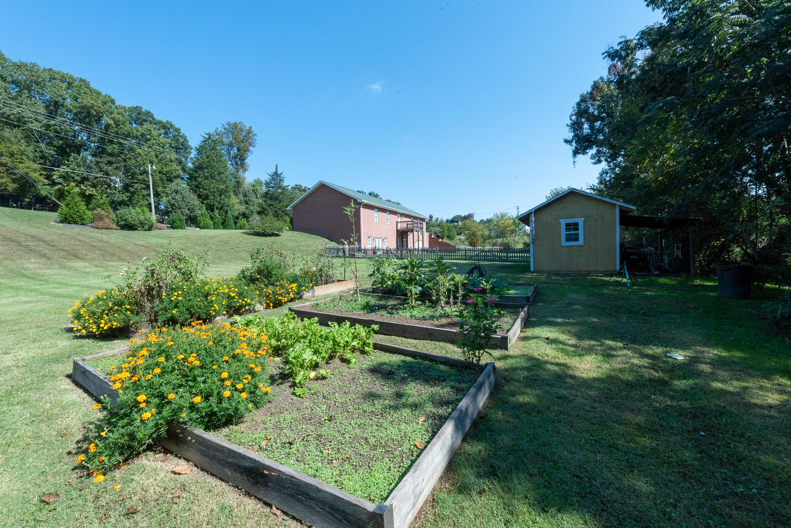 9210 West Emory Road Knoxville, TN 37931 - Photo 8 of 40 DSC_6728