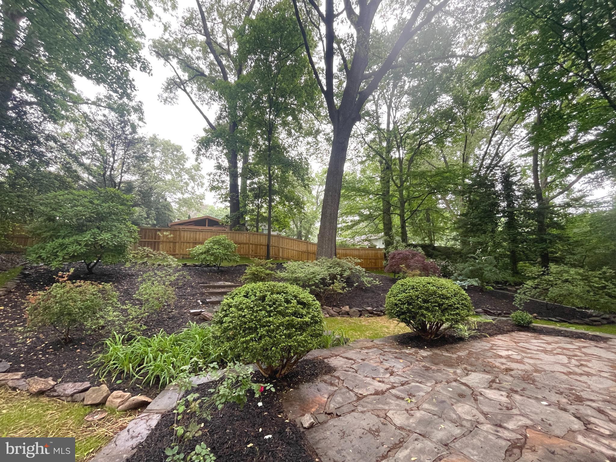 3610 Cornell Road Fairfax, VA 22030 - Photo 18 of 18 Newly landscaped backyard