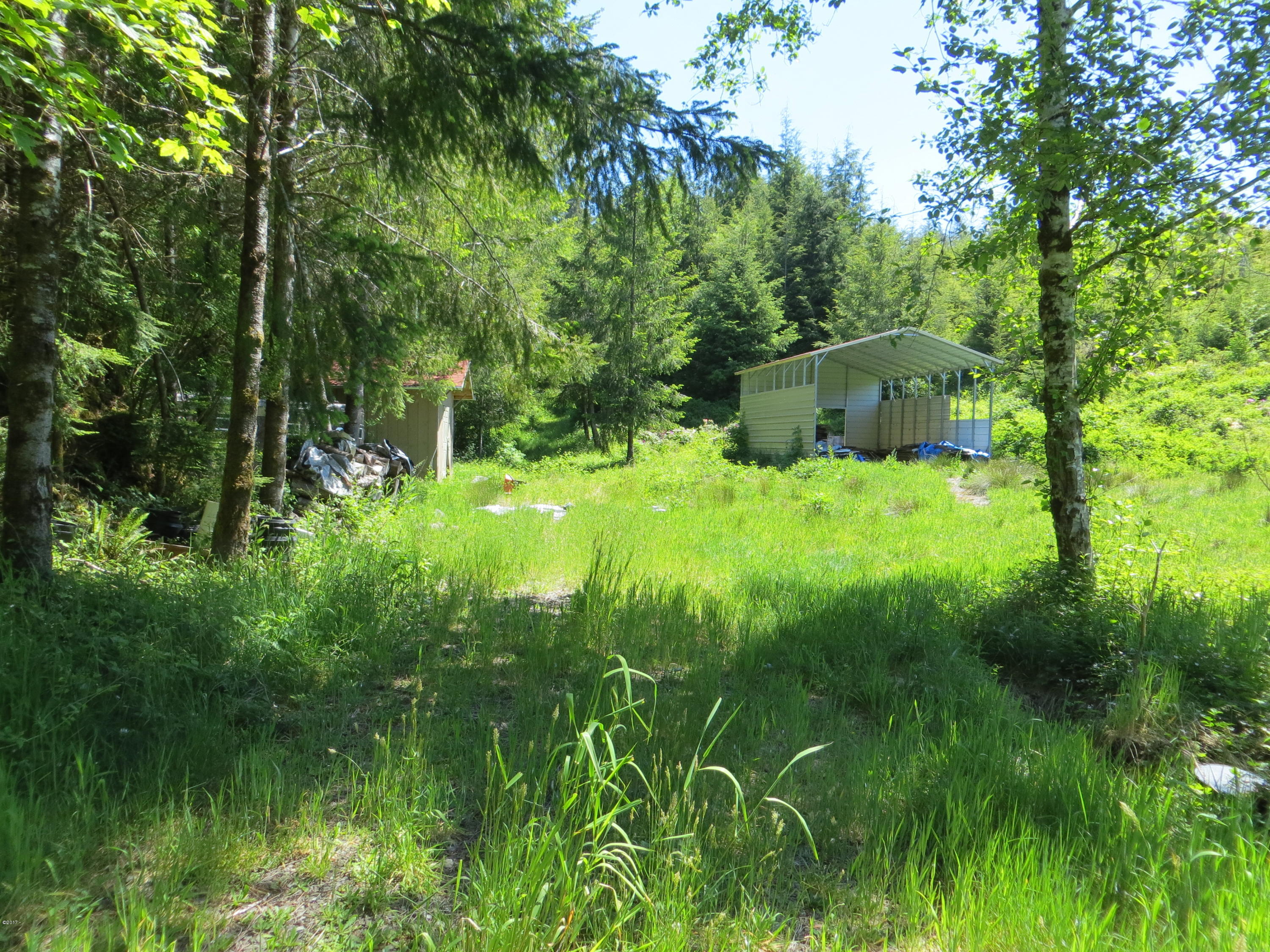 Lot 15 Hamer Road Siletz, OR 97380 - Photo 22 of 23 Outbuildings