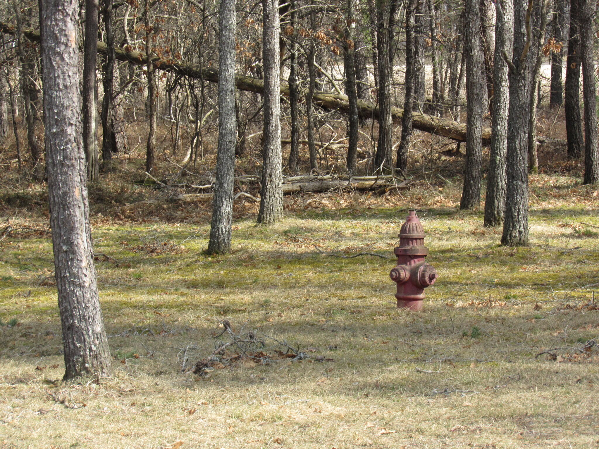 147 East Pioneer Road Roscommon, MI 48653 - Photo 18 of 33 Gallery Image 18