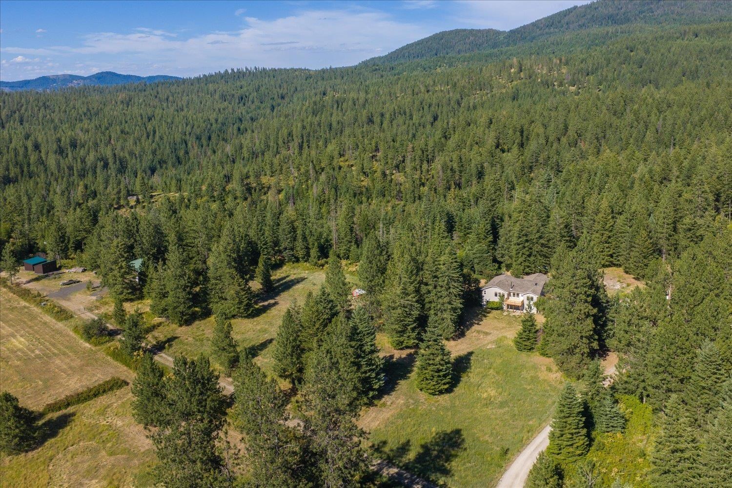 15519 East Tallman Road Chattaroy, WA 99003 - Photo 3 of 49