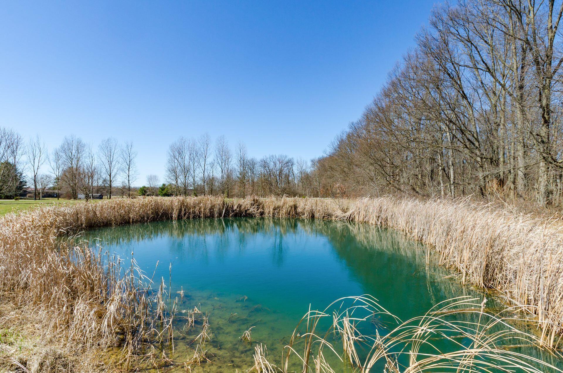 3680 Warrensburg Road Delaware, OH 43015 - Photo 43 of 46 Kidney shaped end of stocked pond view from the bridge