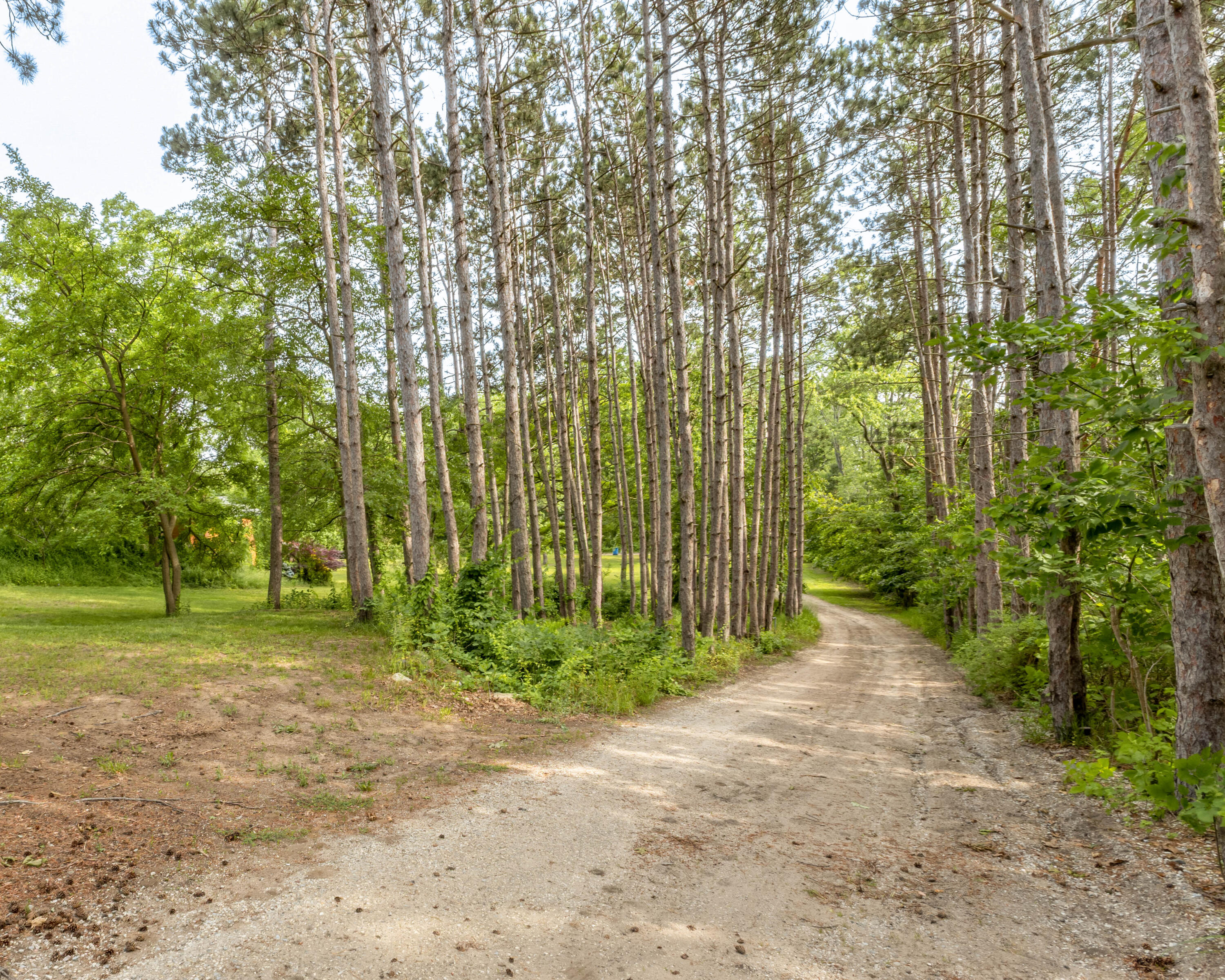 17097 Roosevelt Road Spring Lake, MI 49456 - Photo 48 of 59 1M7A1011