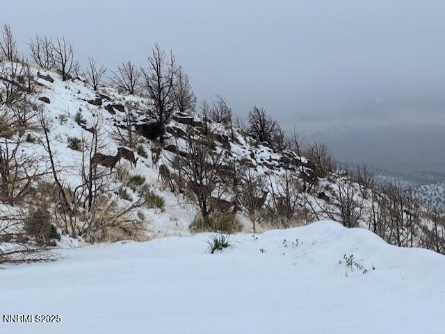 0 Wrangler Road Reno, NV 89510 - Photo 2 of 5 a view of outdoor space and covered with trees in the background