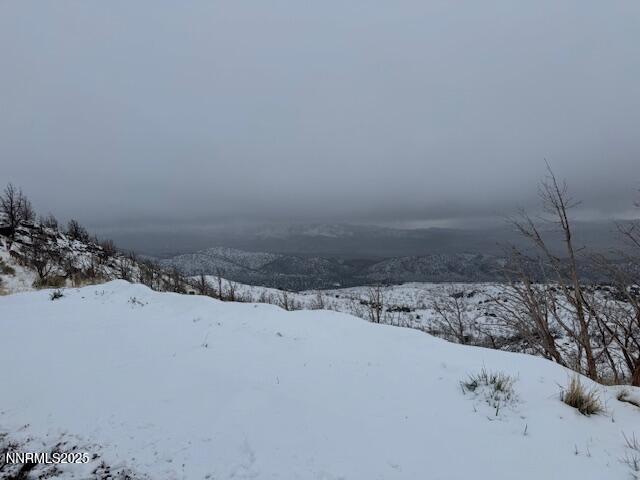 0 Wrangler Road Reno, NV 89510 - Photo 3 of 5 a view of wooden floor