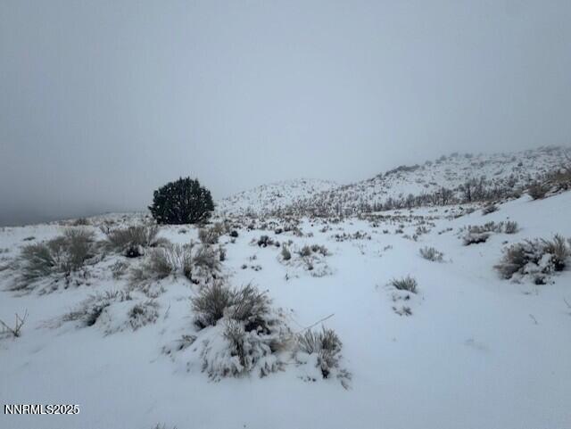 0 Wrangler Road Reno, NV 89510 - Photo 5 of 5