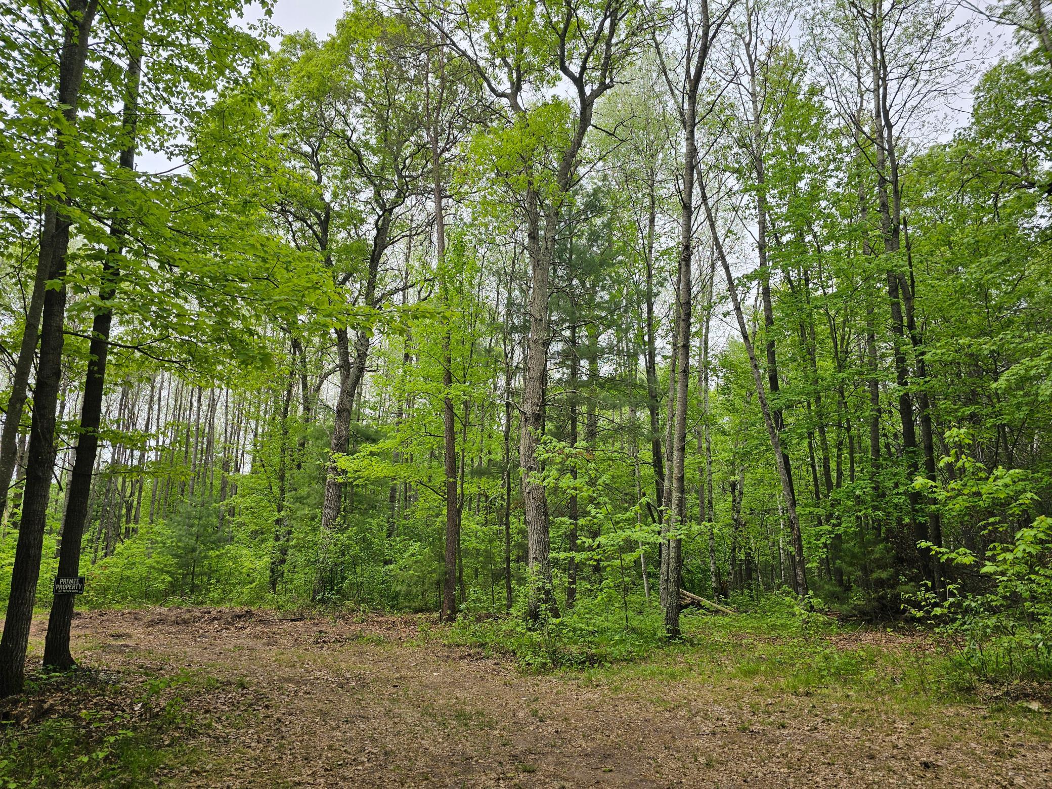 25227 Kruger Road Webster, WI 54893 - Photo 5 of 11