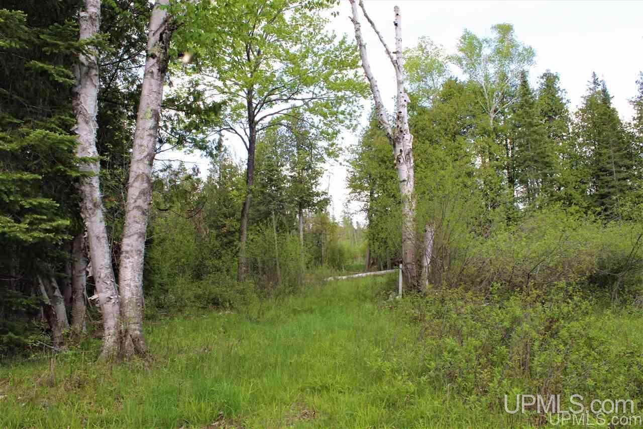 400-acres 12th Road Bark River, MI 49807 - Photo 21 of 28 Gallery Image 21