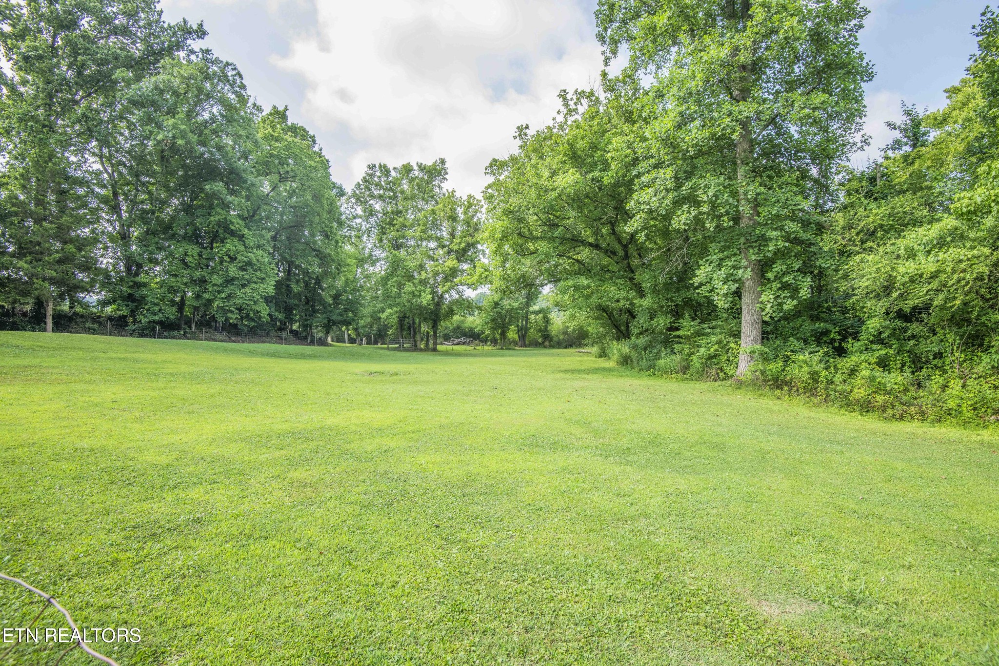 316 Joel Road Oliver Springs, TN 37840 - Photo 42 of 53 Gallery Image 42