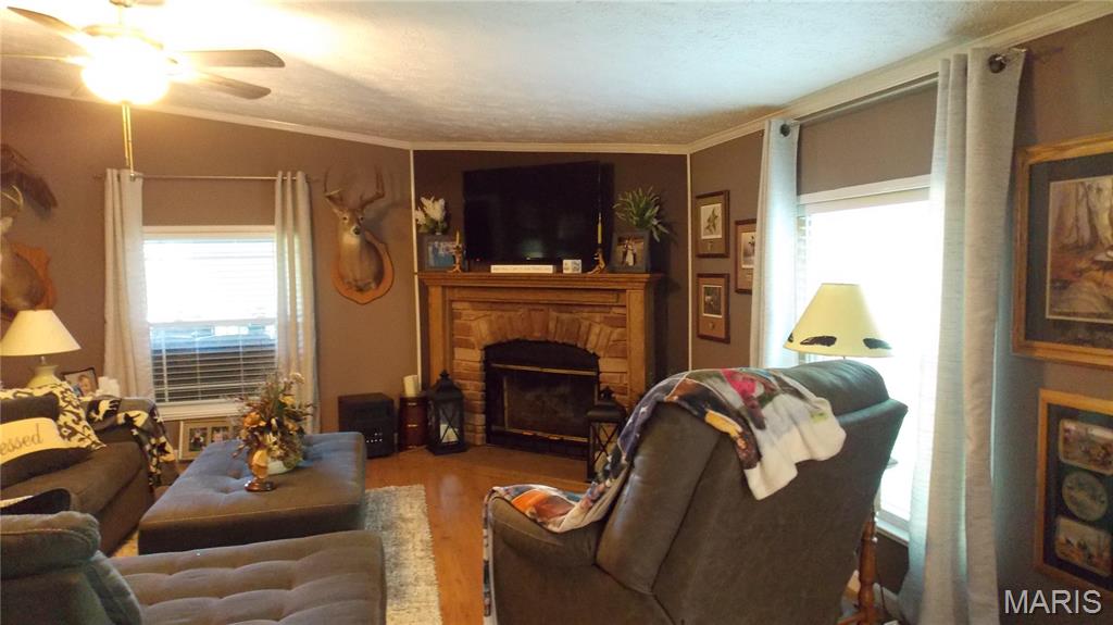 532 Ripley 160e-30 Naylor, MO 63953 - Photo 4 of 27