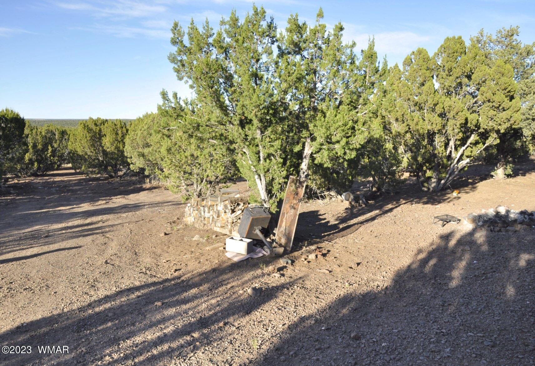 1308 Lodge Pole Road Show Low, AZ 85901 - Photo 11 of 29