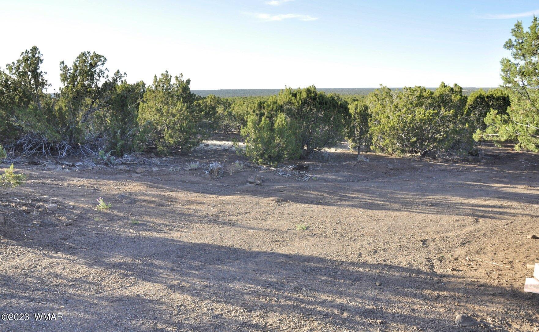 1308 Lodge Pole Road Show Low, AZ 85901 - Photo 14 of 29