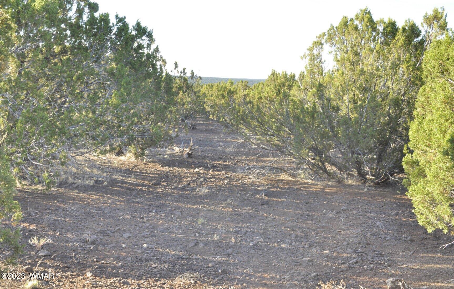 1308 Lodge Pole Road Show Low, AZ 85901 - Photo 15 of 29