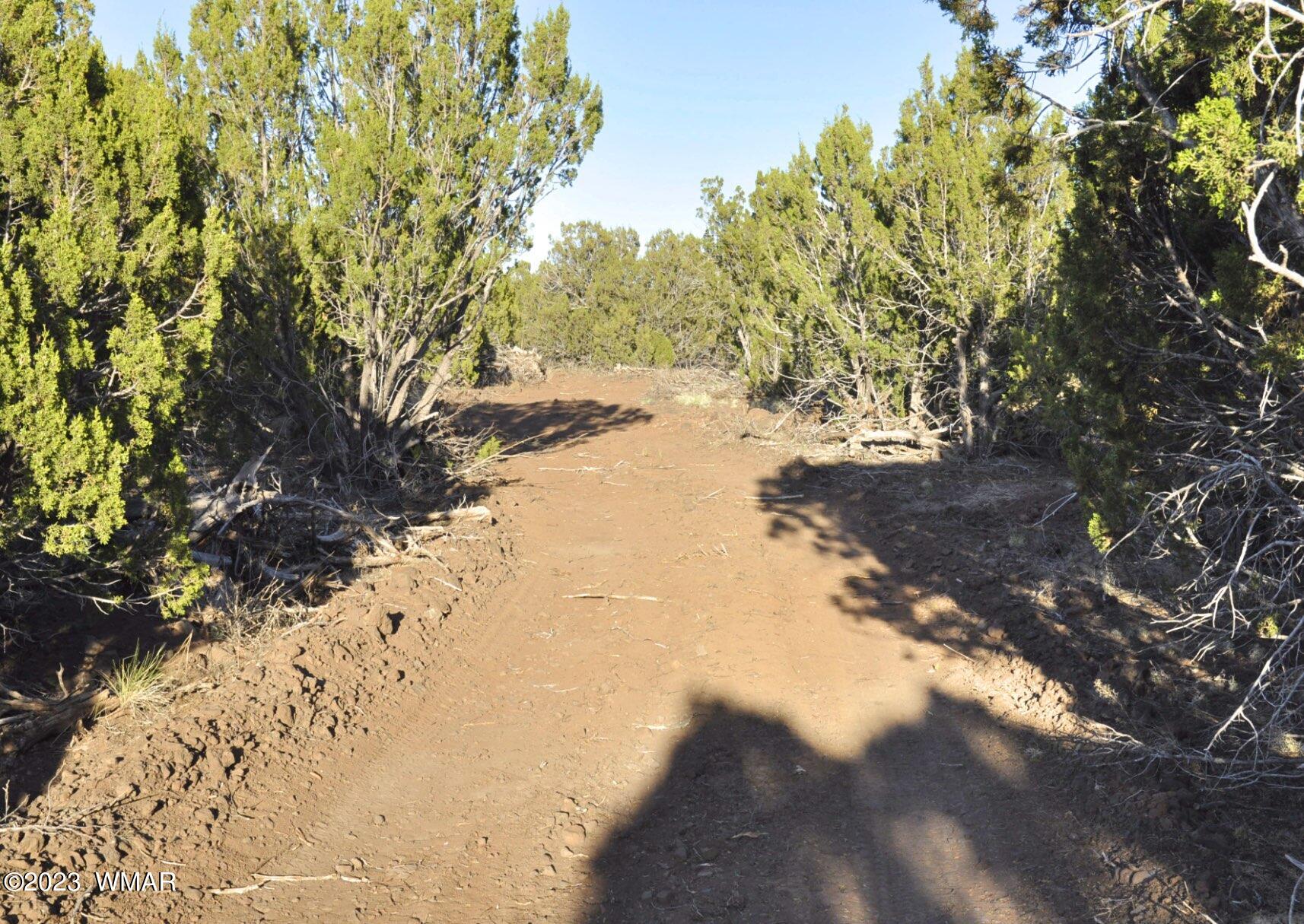 1308 Lodge Pole Road Show Low, AZ 85901 - Photo 16 of 29