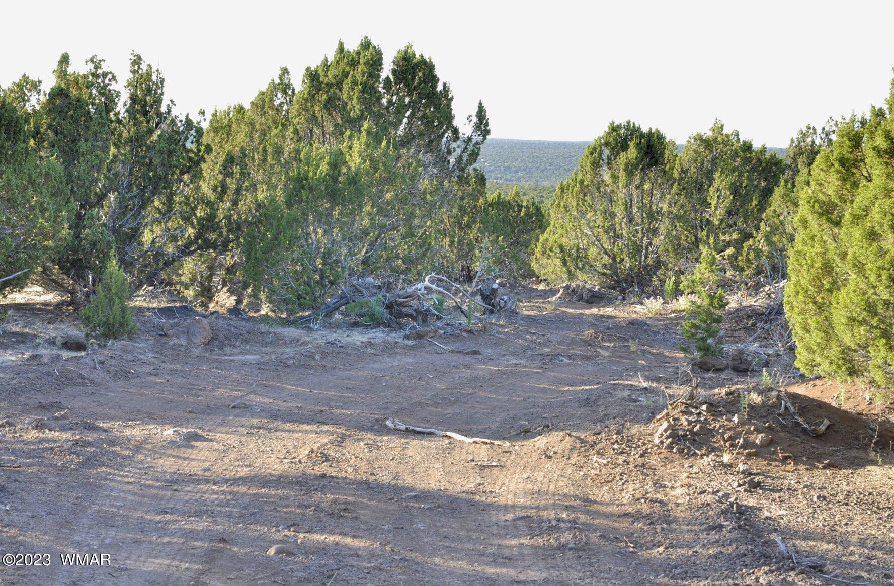 1308 Lodge Pole Road Show Low, AZ 85901 - Photo 17 of 29