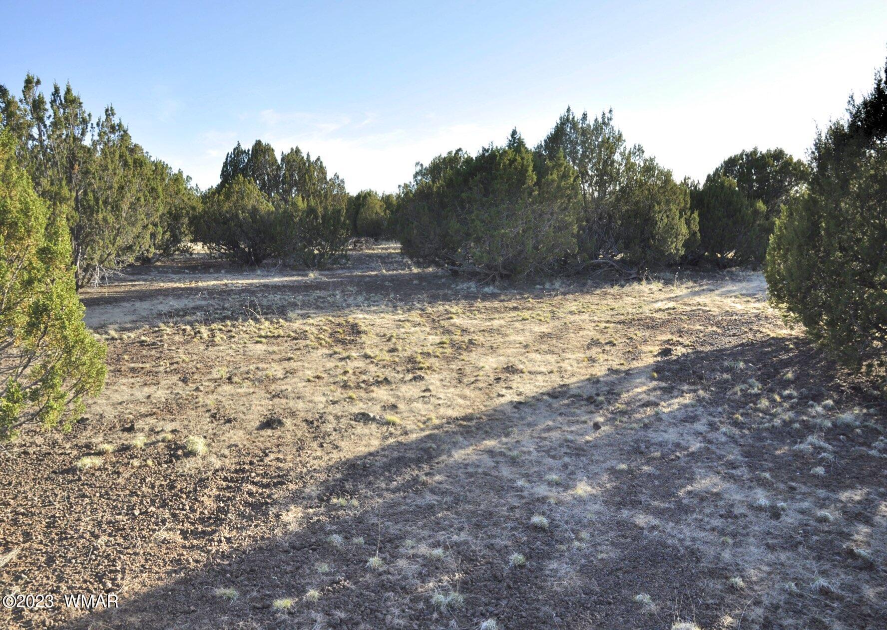 1308 Lodge Pole Road Show Low, AZ 85901 - Photo 18 of 29