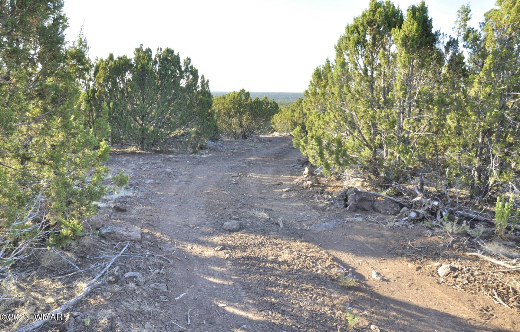 1308 Lodge Pole Road Show Low, AZ 85901 - Photo 19 of 29