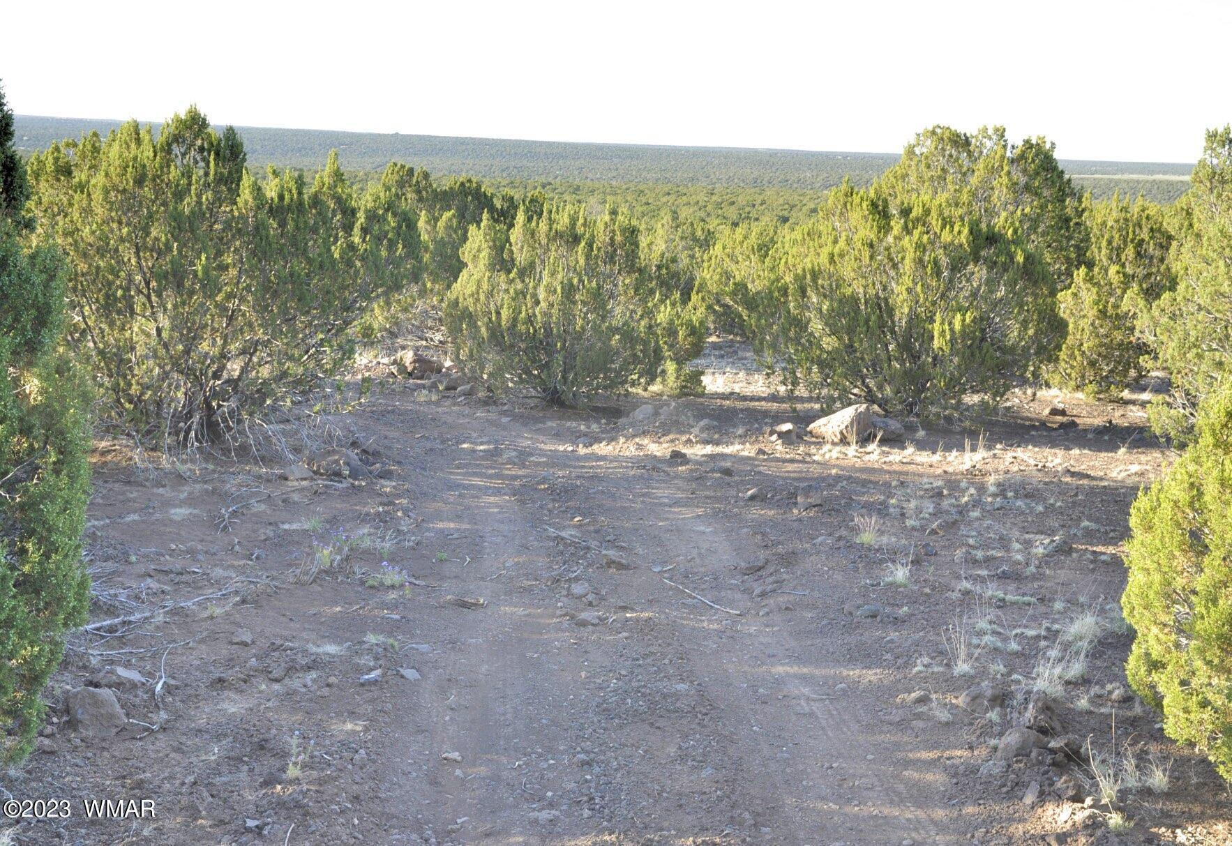 1308 Lodge Pole Road Show Low, AZ 85901 - Photo 20 of 29