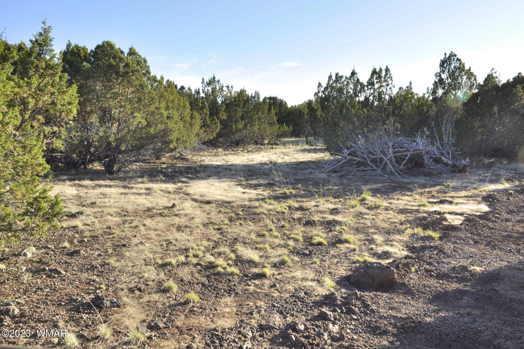 1308 Lodge Pole Road Show Low, AZ 85901 - Photo 21 of 29