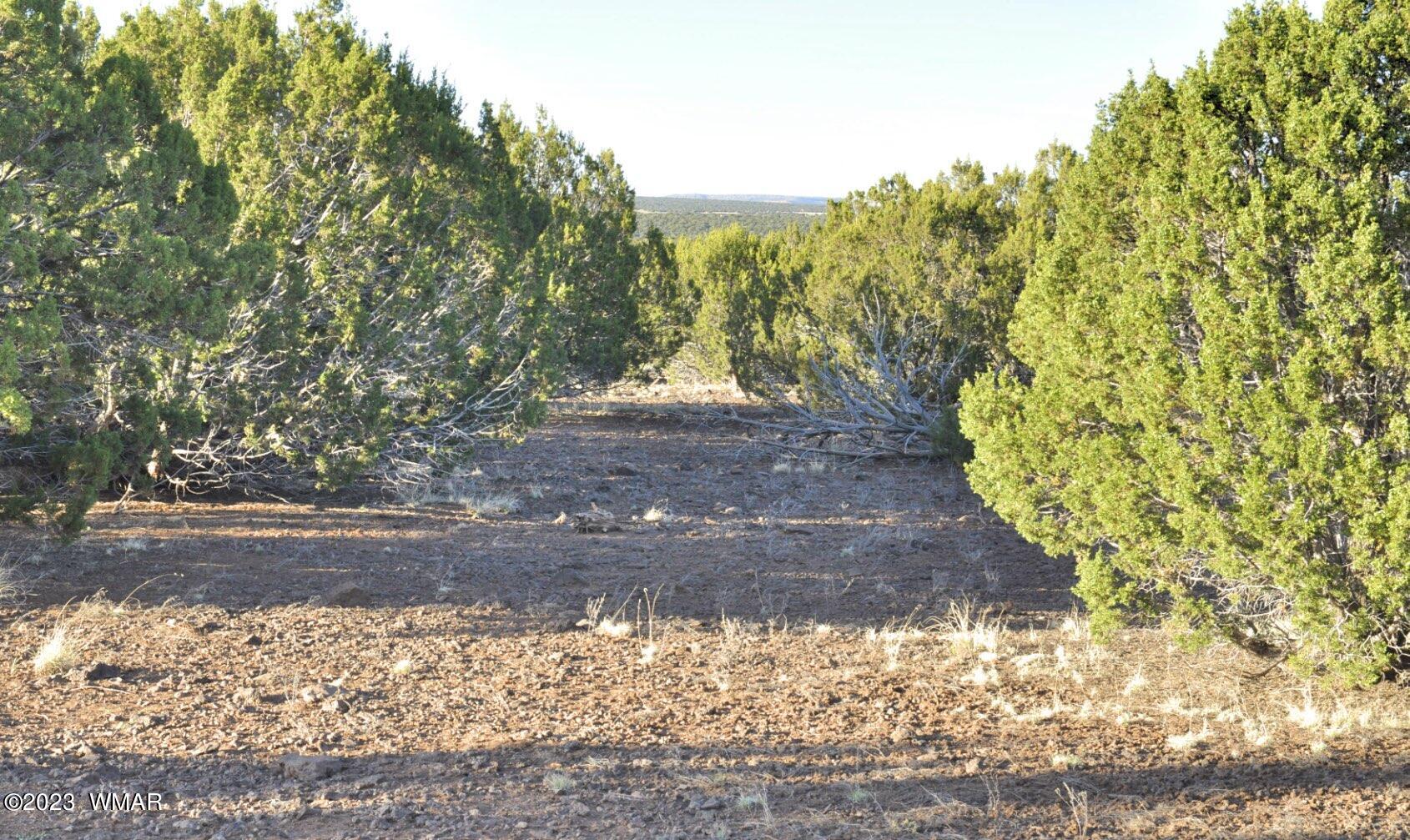 1308 Lodge Pole Road Show Low, AZ 85901 - Photo 22 of 29