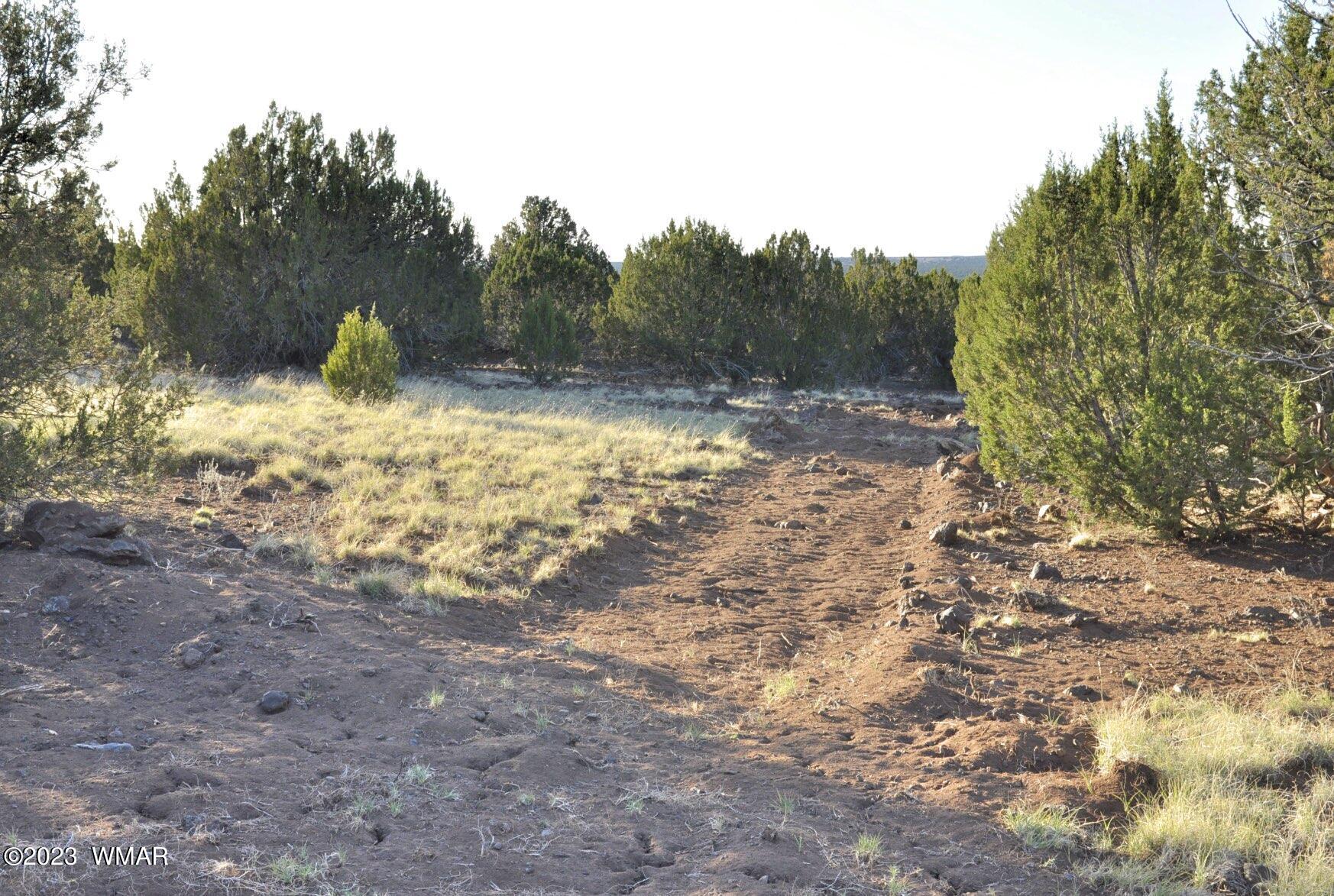 1308 Lodge Pole Road Show Low, AZ 85901 - Photo 23 of 29