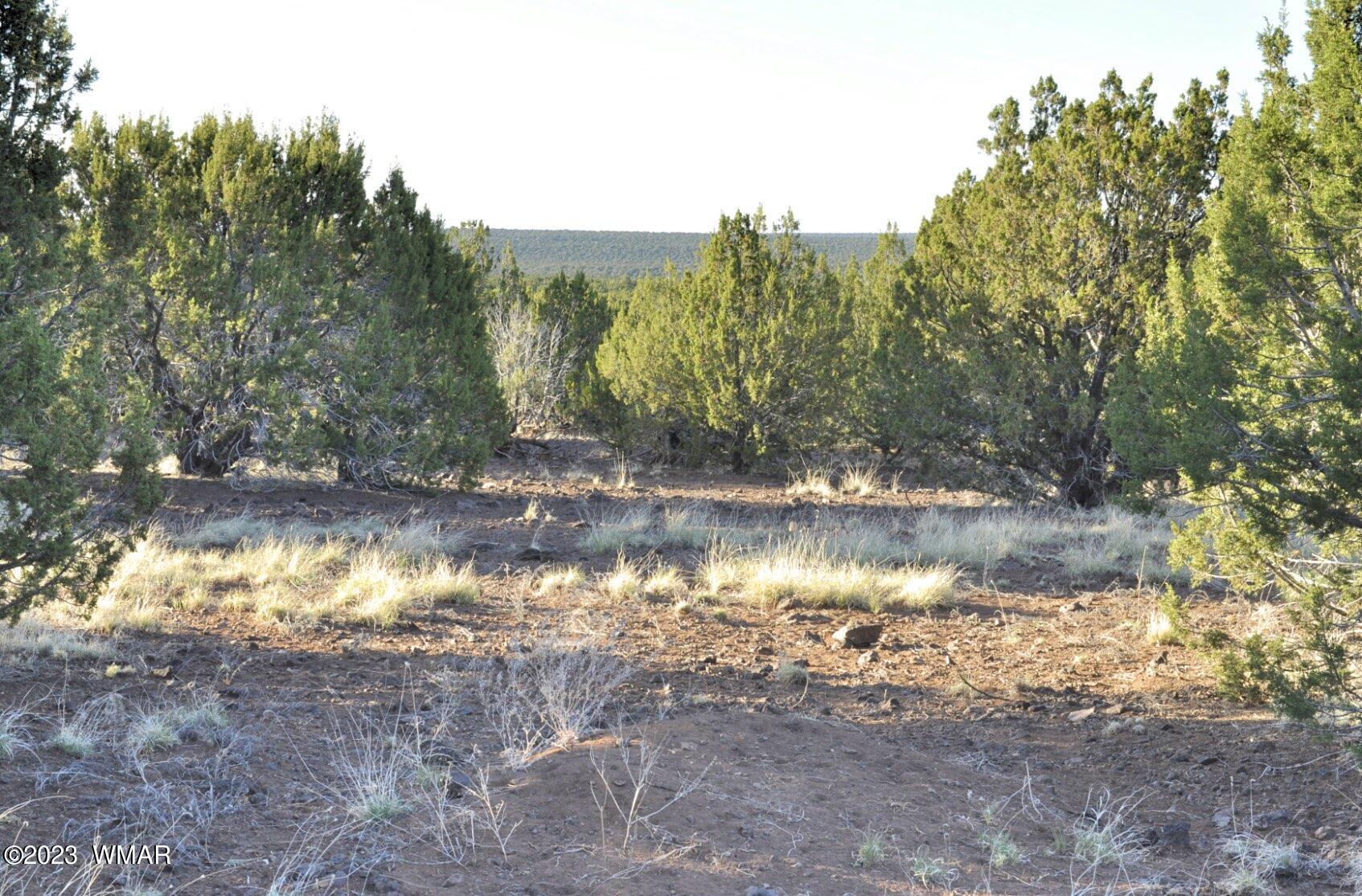 1308 Lodge Pole Road Show Low, AZ 85901 - Photo 24 of 29