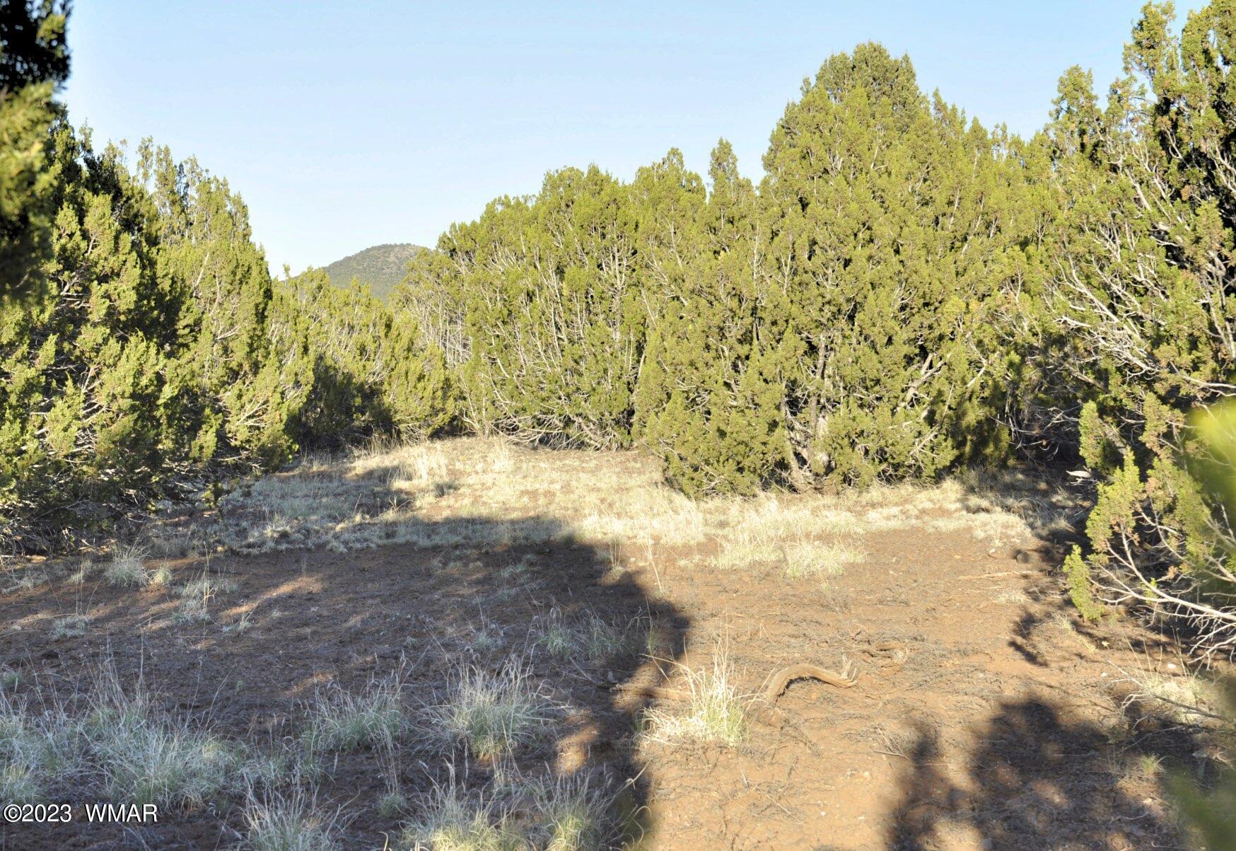 1308 Lodge Pole Road Show Low, AZ 85901 - Photo 25 of 29