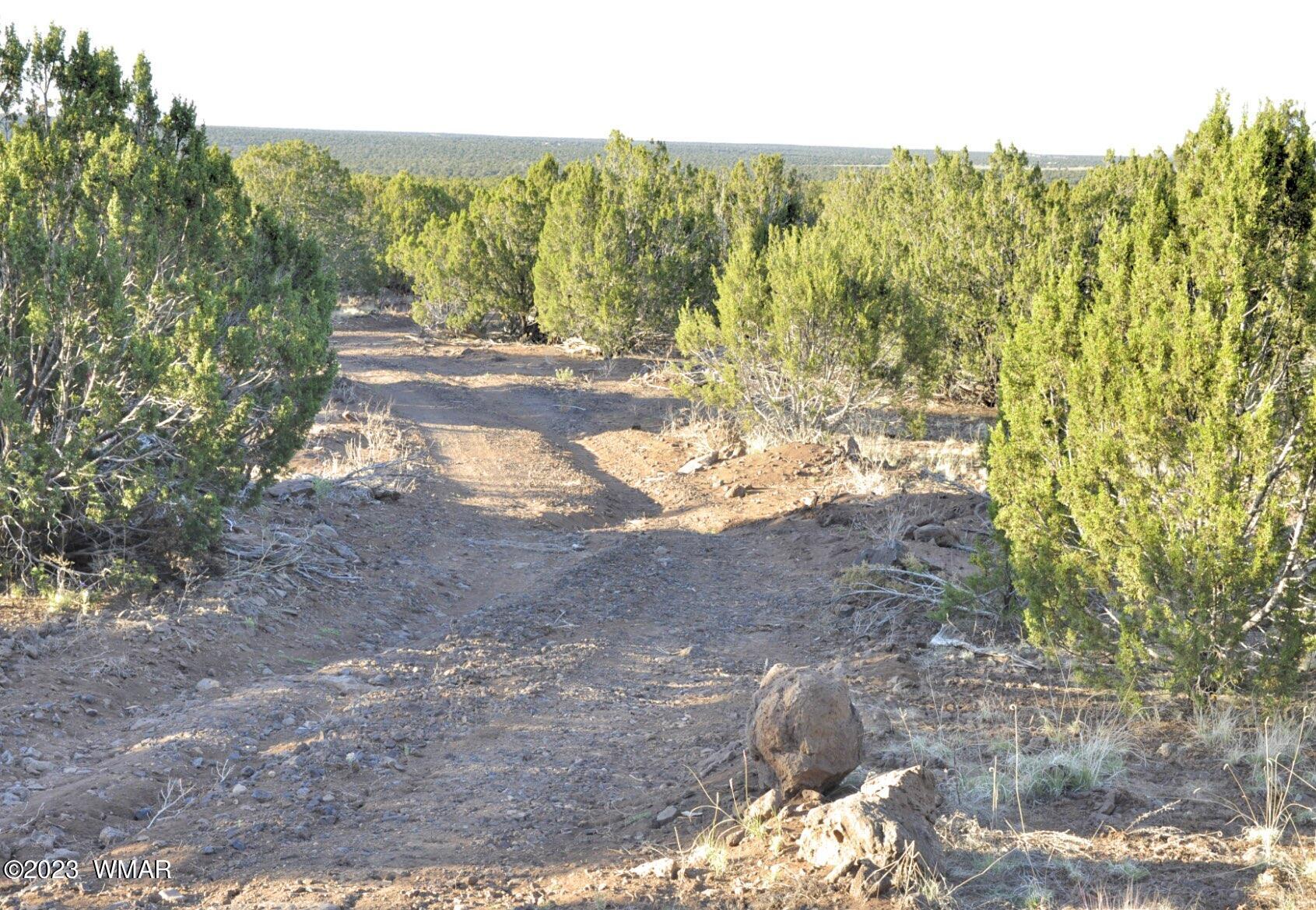 1308 Lodge Pole Road Show Low, AZ 85901 - Photo 26 of 29