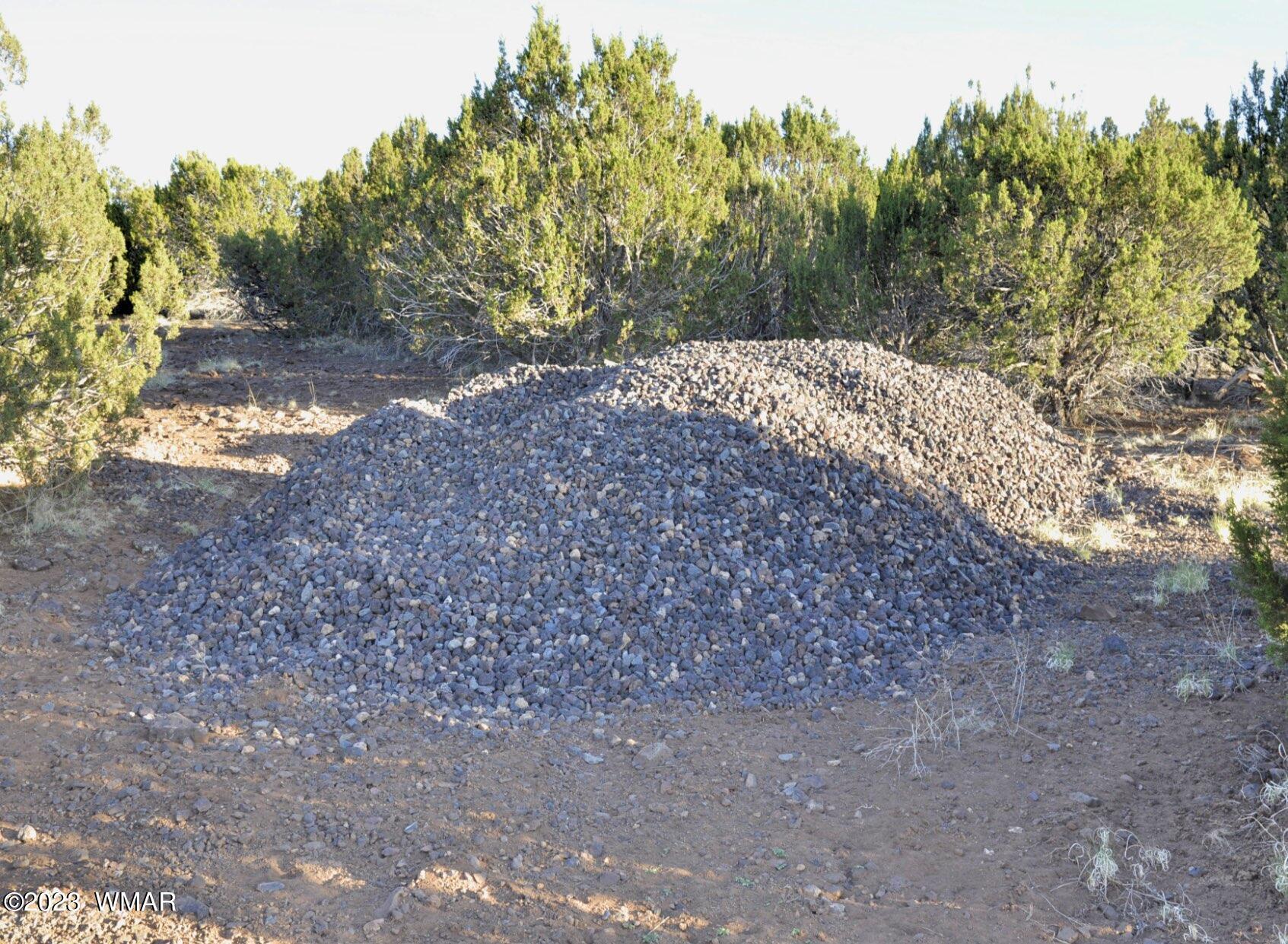 1308 Lodge Pole Road Show Low, AZ 85901 - Photo 27 of 29