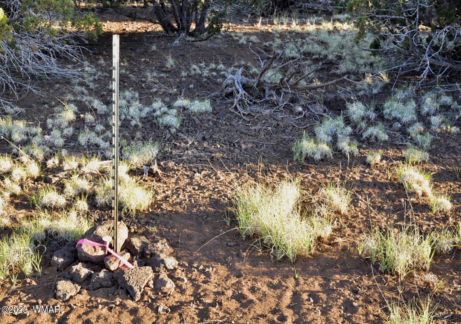 1308 Lodge Pole Road Show Low, AZ 85901 - Photo 29 of 29