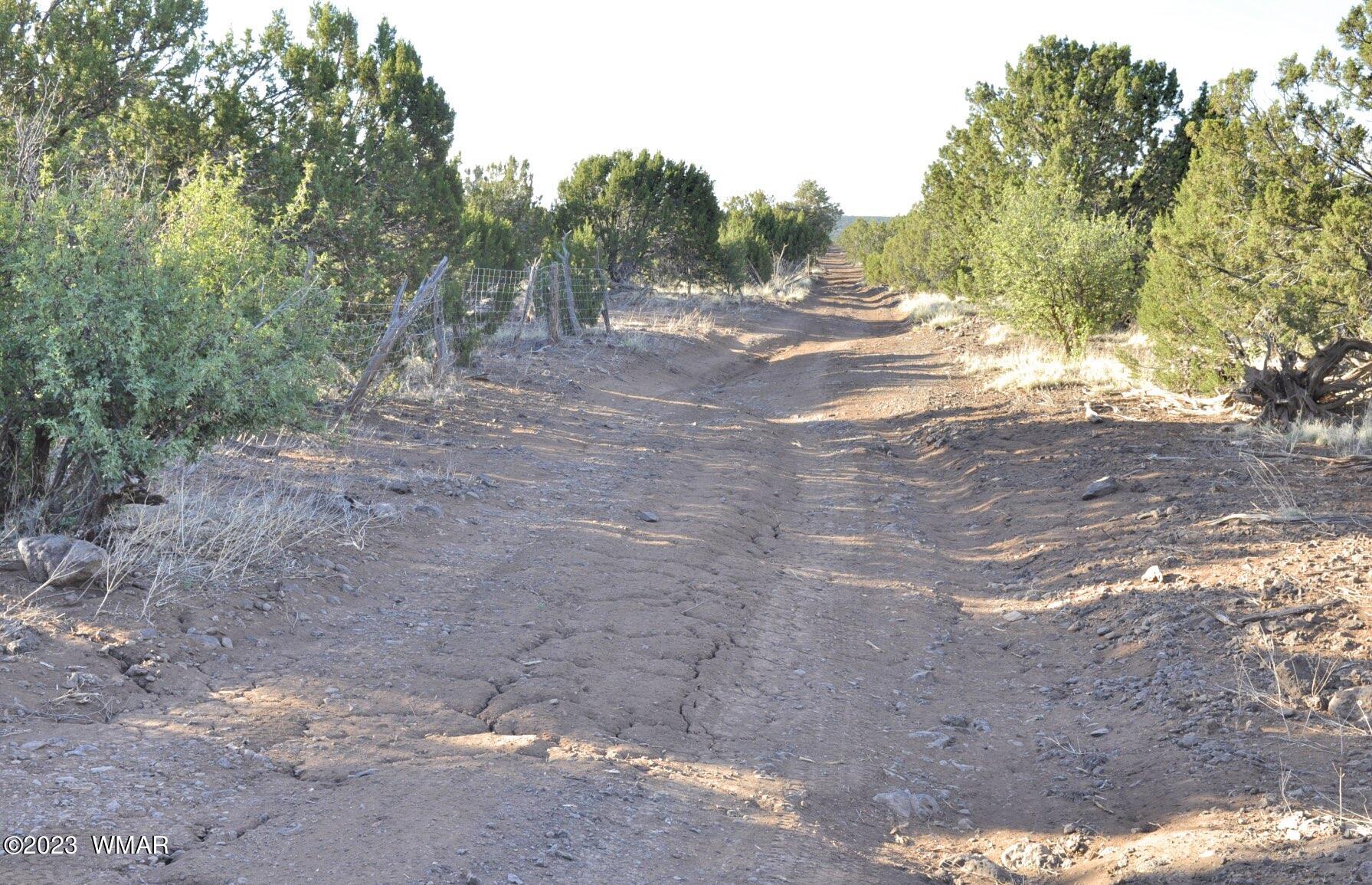 1308 Lodge Pole Road Show Low, AZ 85901 - Photo 6 of 29
