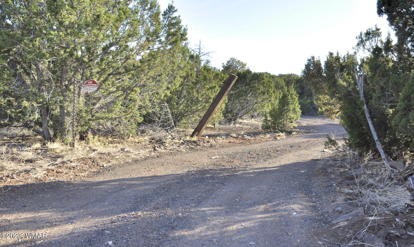 1308 Lodge Pole Road Show Low, AZ 85901 - Photo 7 of 29