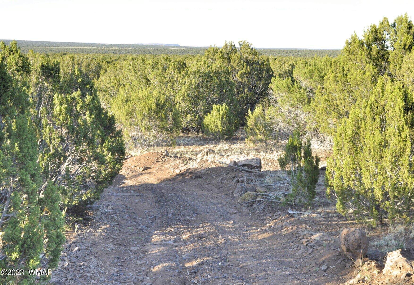 1308 Lodge Pole Road Show Low, AZ 85901 - Photo 8 of 29
