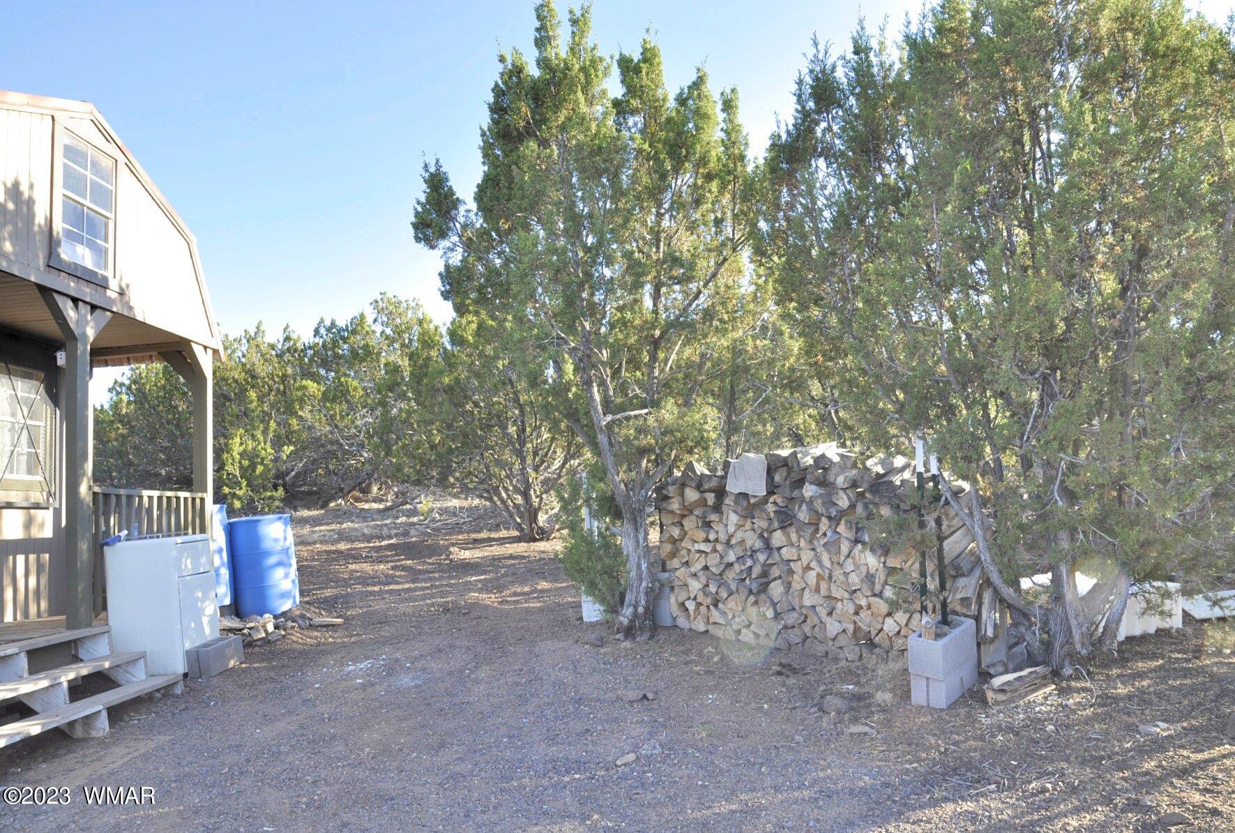 1308 Lodge Pole Road Show Low, AZ 85901 - Photo 10 of 29
