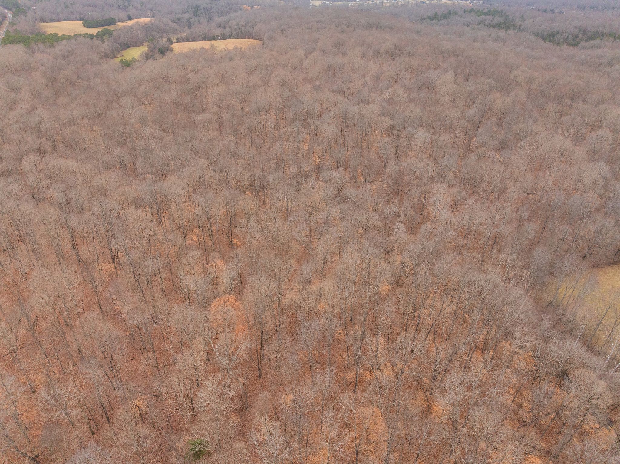 0 Wiley Branch Road Dickson, TN 37055 - Photo 18 of 27