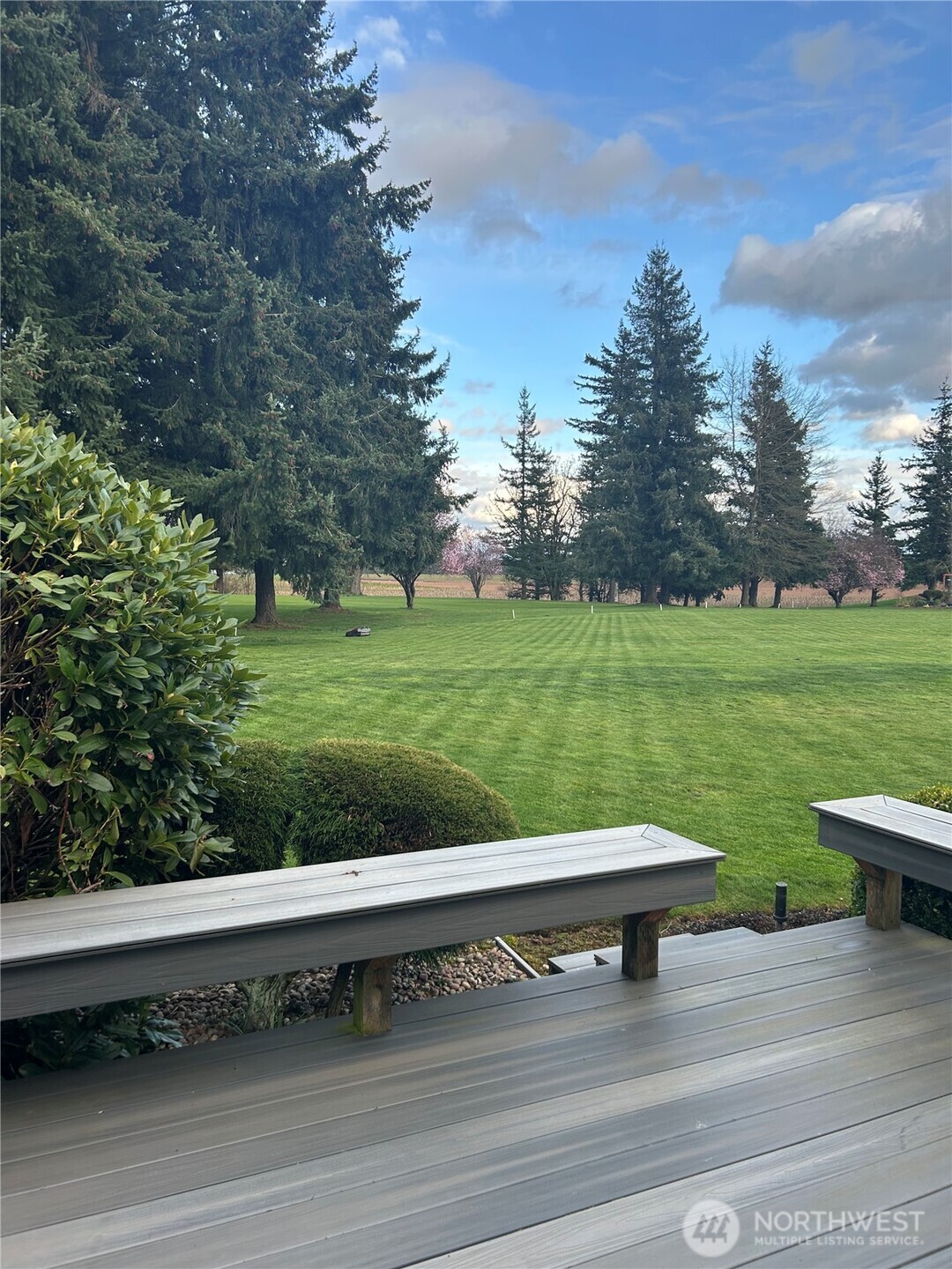 6850 Raspberry Dr., Unit A Everson, WA 98247 - Photo 21 of 22 a view of a back yard on green field