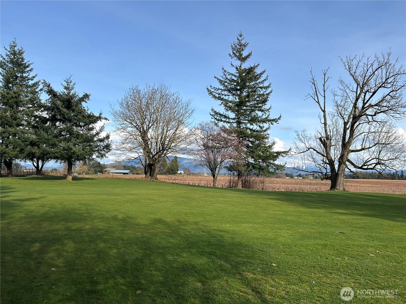6850 Raspberry Dr., Unit A Everson, WA 98247 - Photo 22 of 22 a view of a field with large trees