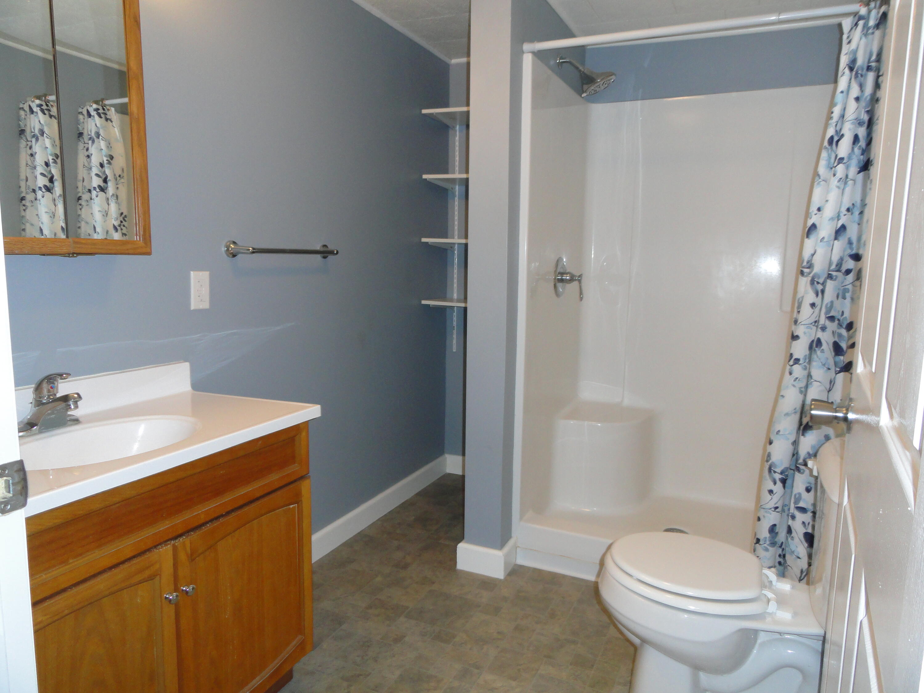 3100 Station Road Sheridan, MI 48884 - Photo 15 of 26 Bath