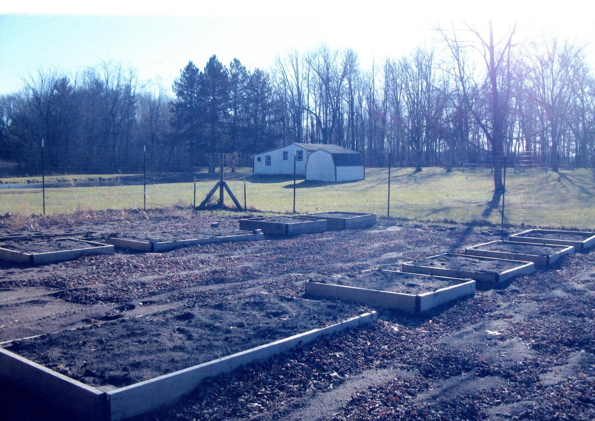 3100 Station Road Sheridan, MI 48884 - Photo 25 of 26 Garden fall