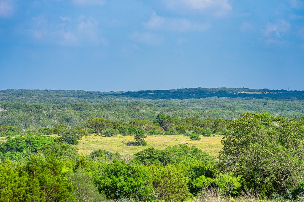 Lot 33 Spring Bluff Junction Junction, TX 76849 - Photo 13 of 19