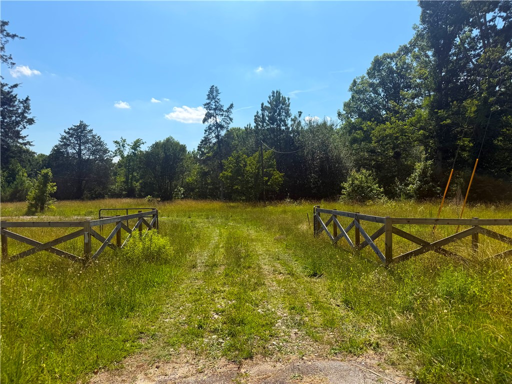 9816 Neely Ferry Road Waterloo, SC 29384 - Photo 6 of 7