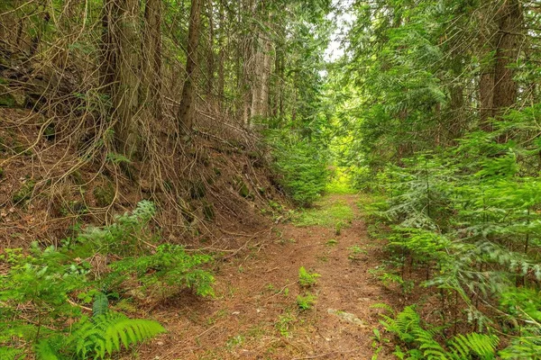 $135,000 | 19970 North Mt Spokane Park Drive, Unit PARCEL # 47134 9026, Mead, WA 99021