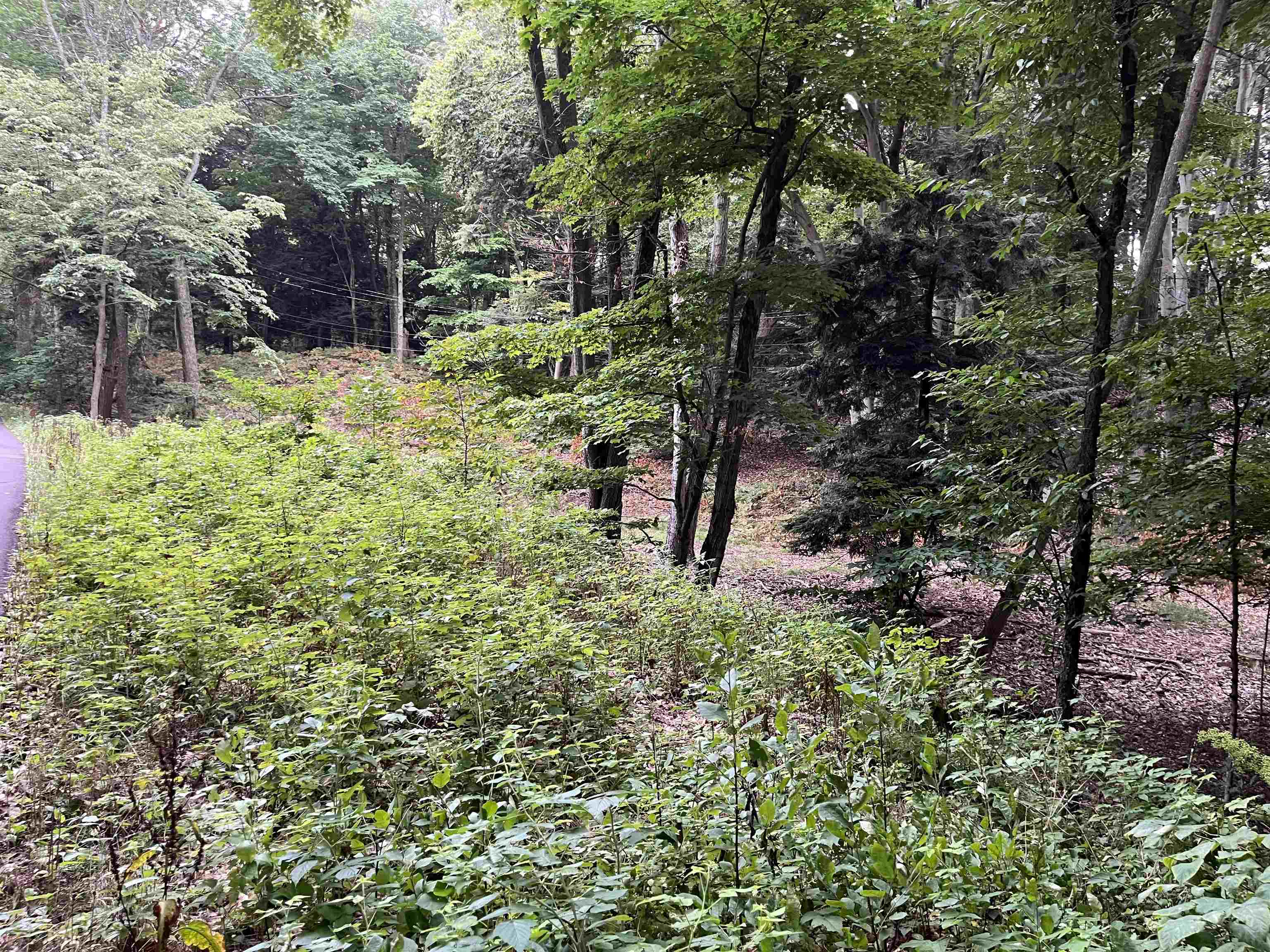 7 Beach Road Frankfort, MI 49635 - Photo 10 of 15