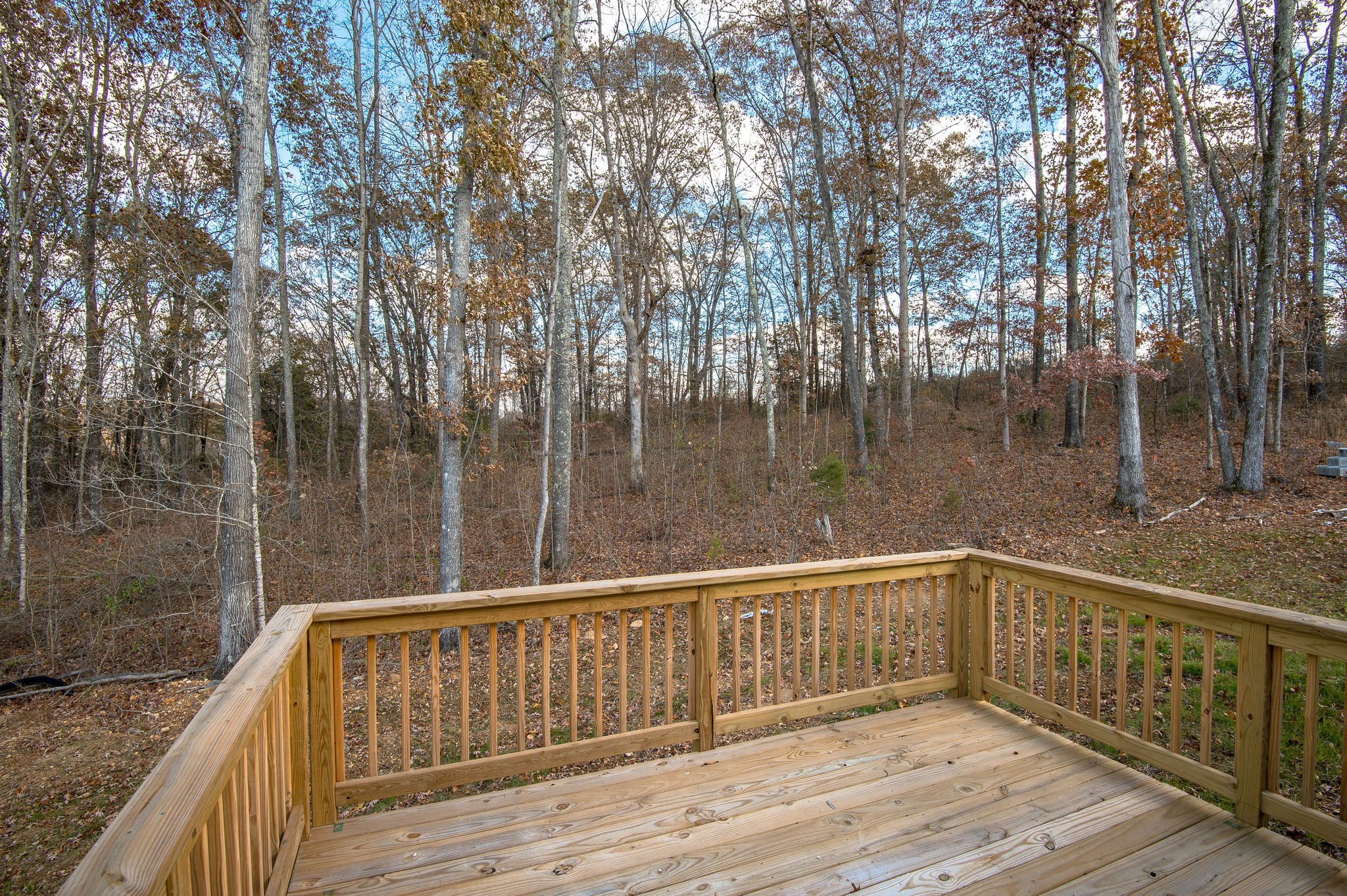 111 Mangrum Road Bon Aqua, TN 37025 - Photo 28 of 36 Gallery Image 28