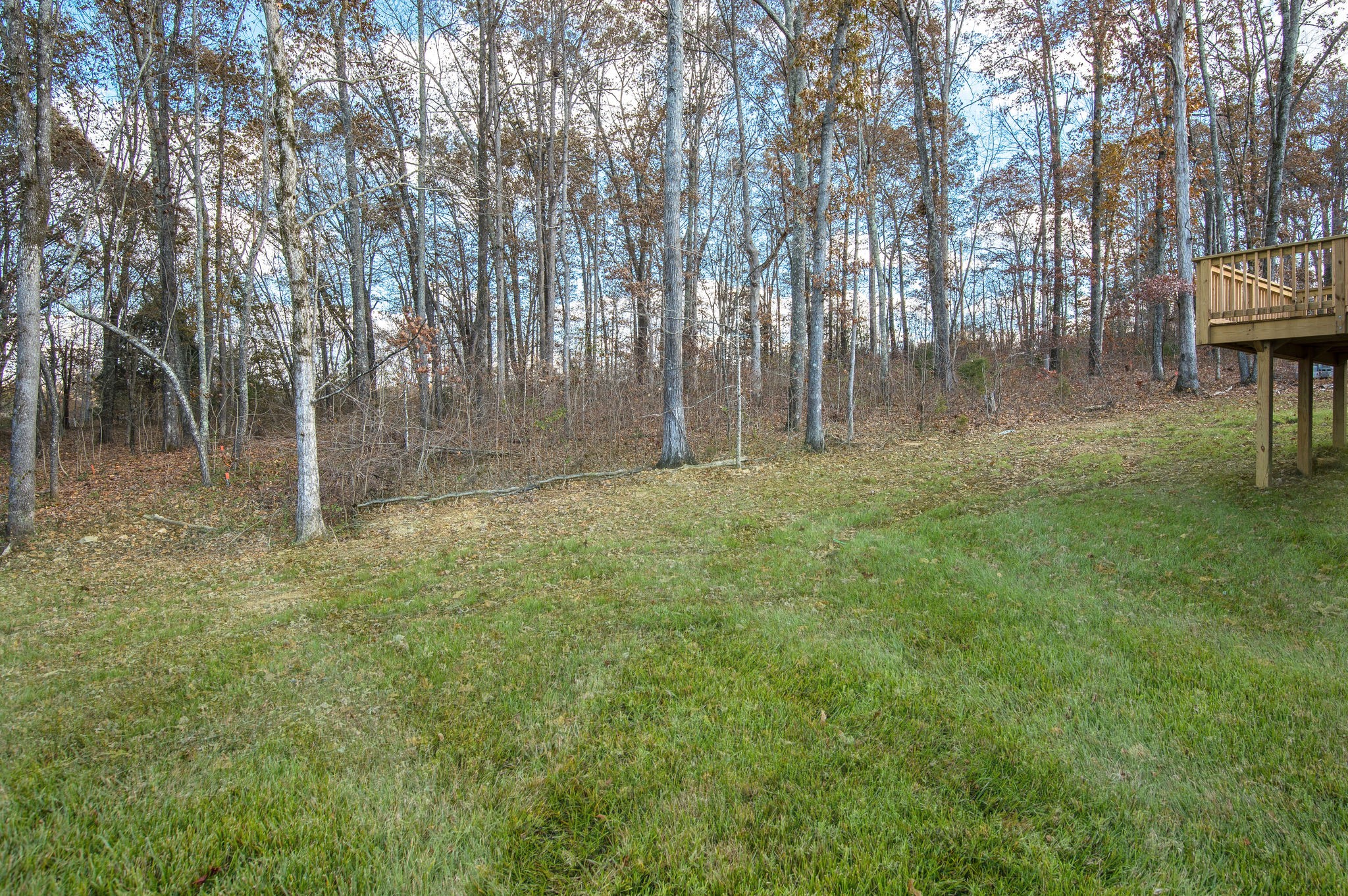 111 Mangrum Road Bon Aqua, TN 37025 - Photo 36 of 36 Gallery Image 36