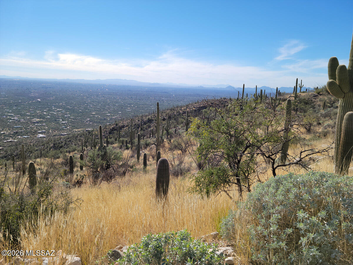 5499 North Wentworth Road Tucson, AZ 85749 - Photo 6 of 8 Breathtaking