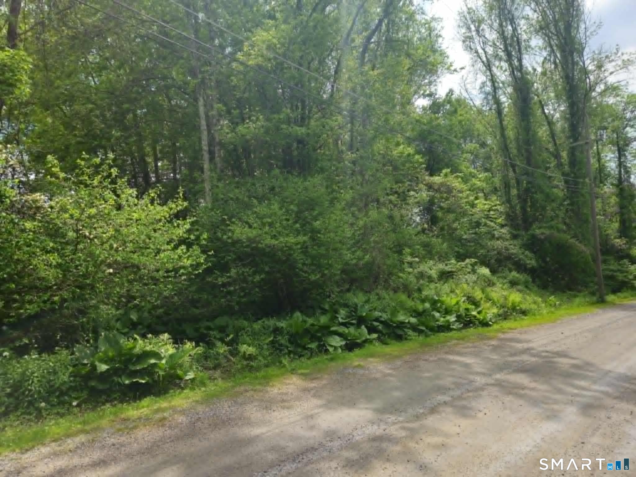 Baxter Road Woodstock, CT 06281 - Photo 3 of 4 a view of a forest with trees