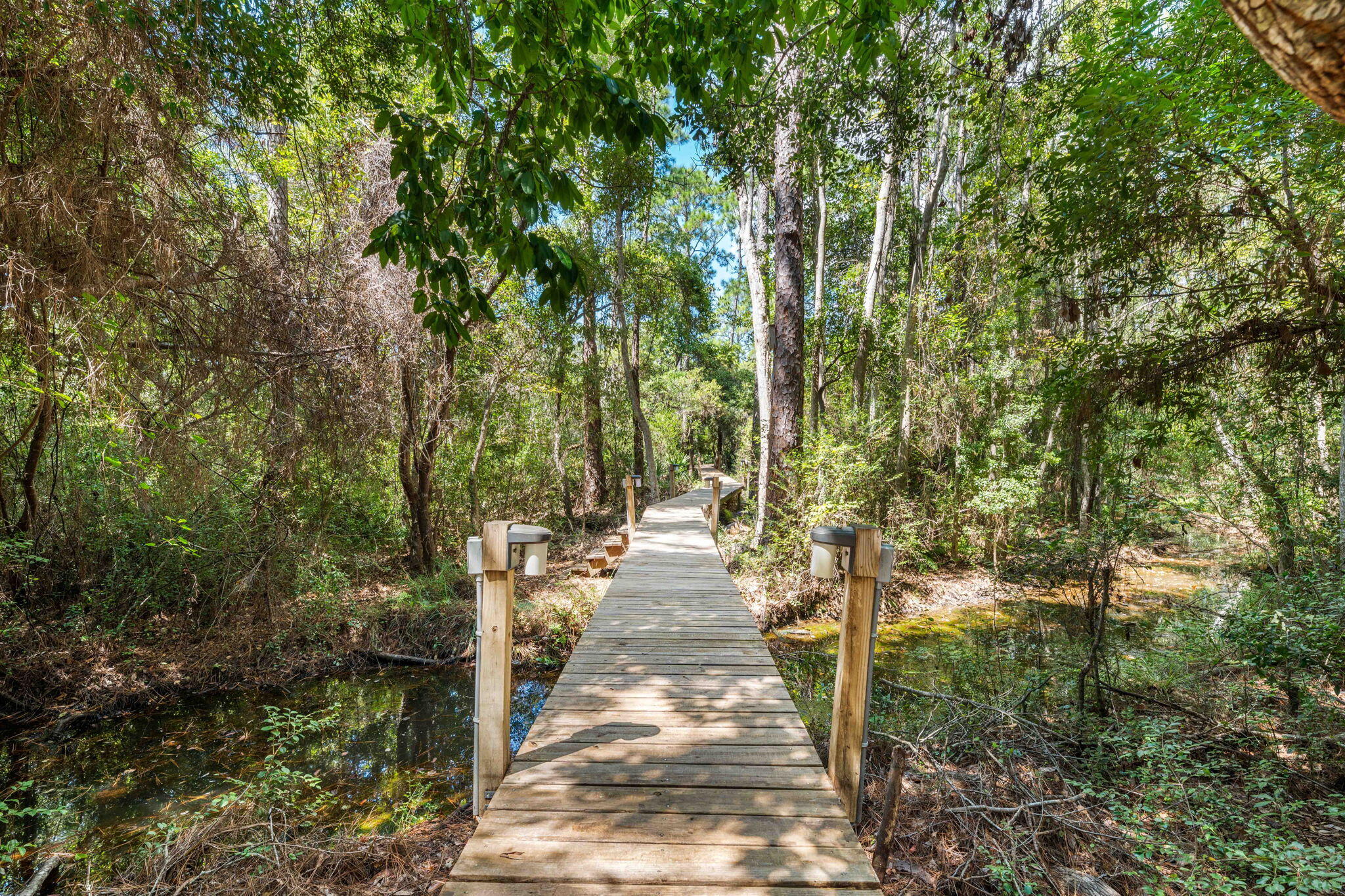 183 Mussett Bayou Court Santa Rosa Beach, FL 32459 - Photo 57 of 68 Walkway to Dock