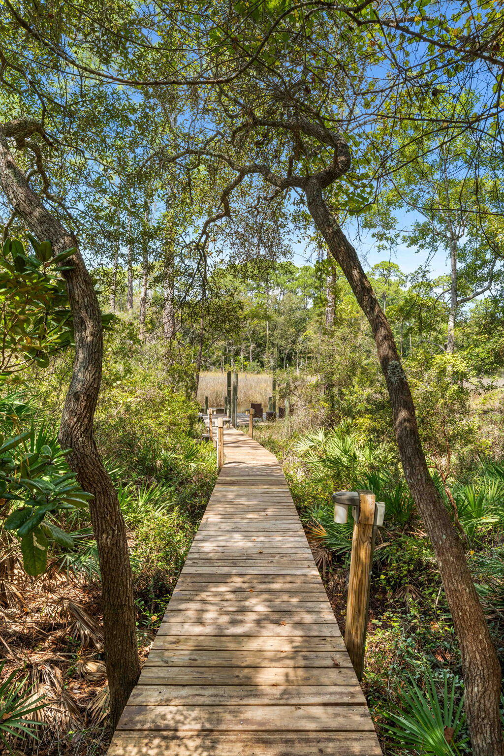 183 Mussett Bayou Court Santa Rosa Beach, FL 32459 - Photo 58 of 68 Walkway to Dock