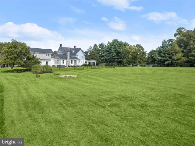 a view of a big yard with a large trees